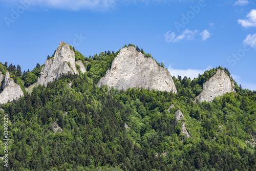 landscape in the mountains