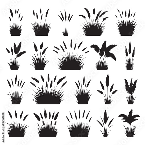 Silhouette set of grass. Vector isolated illustration