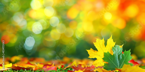 Autumn Leaves on Ground with Vibrant Bokeh Background  Fall Season  Nature Scenery  Seasonal Change  Thanksgiving Decor  Autumn Aesthetic