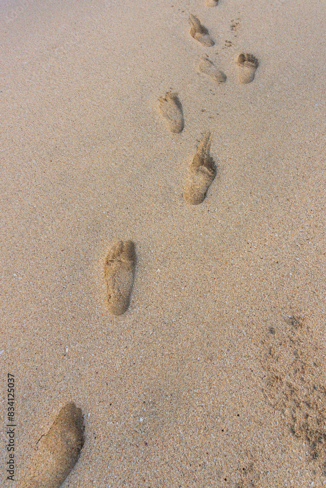 footprints on the beige sand, bordering the blue sea footprints on the beige sand, bordering the blue sea