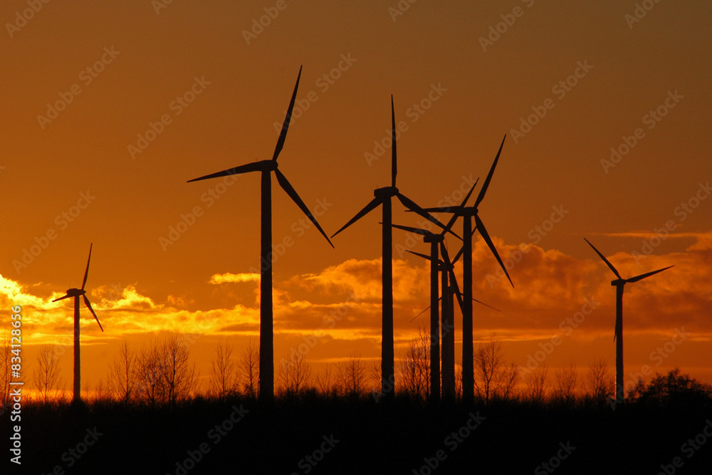 Renewable Energy Fields: Wind Turbines near Nauen, Brandenburg Renewable Energy Fields: Wind Turbines near Nauen, Brandenburg