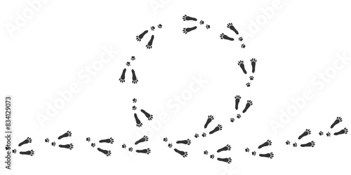 Footprints of Forest Animal, Traces of a hare on white background. Hare or rabbit silhouette animal tracks. Traces in a Traces in a circle of a hare or rabbit. of a hare or rabbit.  EPS10.