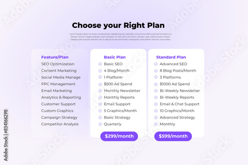 Pricing table UI design for Digital Marketing Services