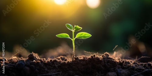 A sprout emerging from the ground Generative AI © Valentine