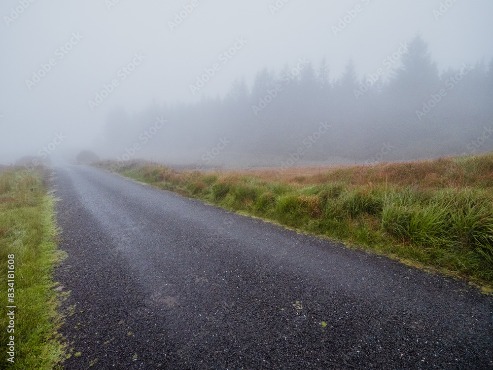 A small country foggy road with trees in the background. Dangerous driving conditions. Rural area in Ireland. Nature scene with mist. Nobody. Surreal and calm mood. A small country foggy road with trees in the background. Dangerous driving conditions. Rural area in Ireland. Nature scene with mist. Nobody. Surreal and calm mood.