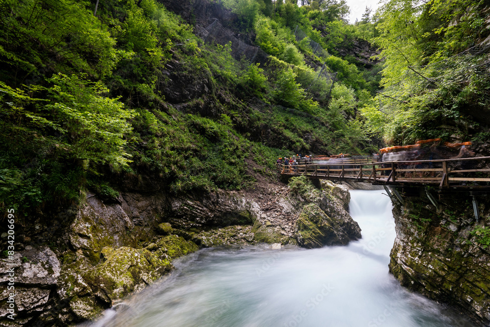 People walk across a bridge in an Alpine Gorge in Slovenia People walk across a bridge in an Alpine Gorge in Slovenia