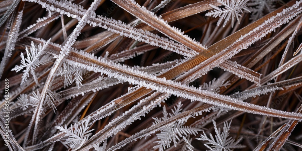 Closeup view of the patterns of frost on blades of grass, with their icy crystals and intricate textures creating a mesmerizing composition Closeup view of the patterns of frost on blades of grass, with their icy crystals and intricate textures creating a mesmerizing composition
