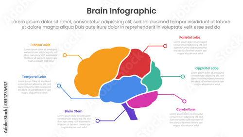human brain infographic template banner with brain parts and line point description with 6 point list information for slide presentation