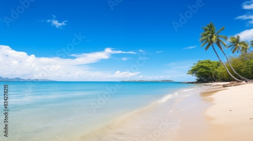 A Serene Tropical Beach with Clear Blue Water, Palm Trees, and Sandy Shore
