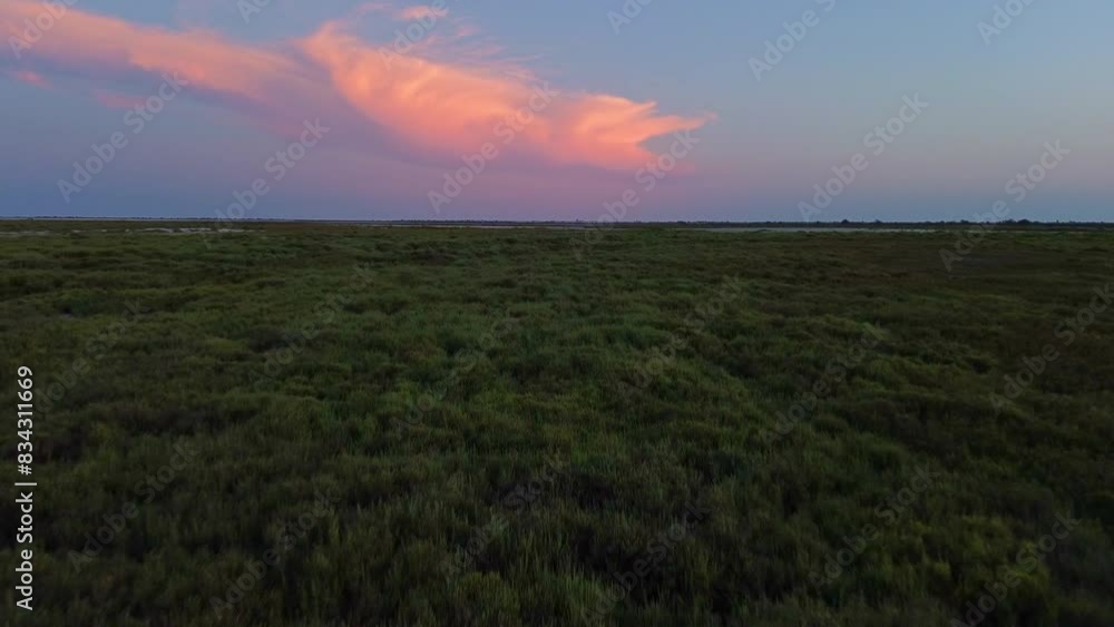 Drone flight of a Sunset over the swamps of Camargue, Dusk colors of green and blue. Drone flight of a Sunset over the swamps of Camargue, Dusk colors of green and blue.
