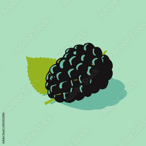 Blackberry Vector Illustration   Fruit, Berry, Purple, Food, Icon