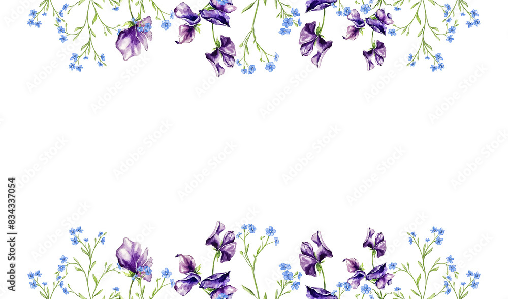 Beautiful banner, hand drawn purple violet pink red sweet pea flowers and forgive me nots. Perfect for wallpapers, web page backgrounds, surface textures, textile. Isolated on white background. Beautiful banner, hand drawn purple violet pink red sweet pea flowers and forgive me nots. Perfect for wallpapers, web page backgrounds, surface textures, textile. Isolated on white background.