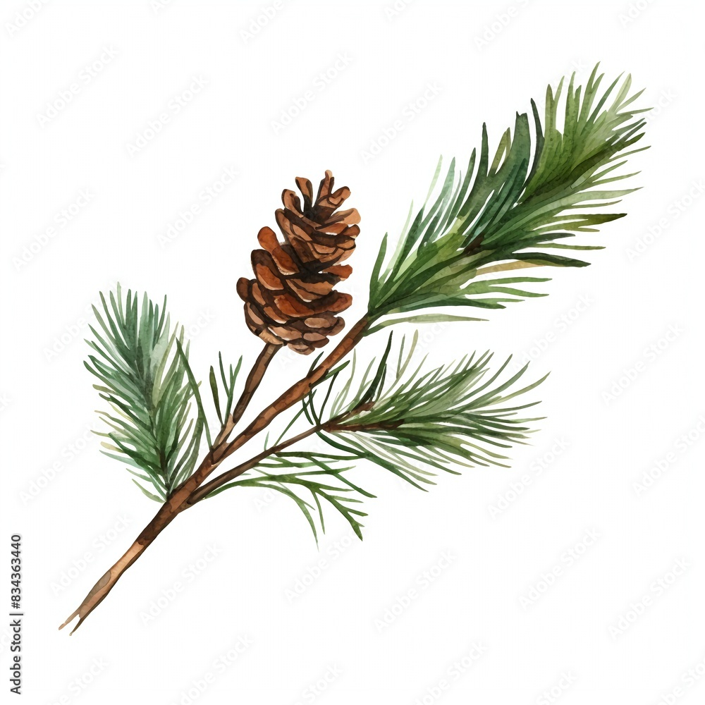 Fototapeta premium New Year's pine tree branch, without decorations, isolated on white background. Watercolour illustration.