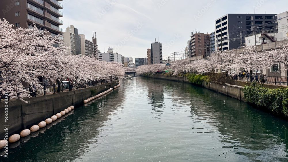 Yokohama Yokohama