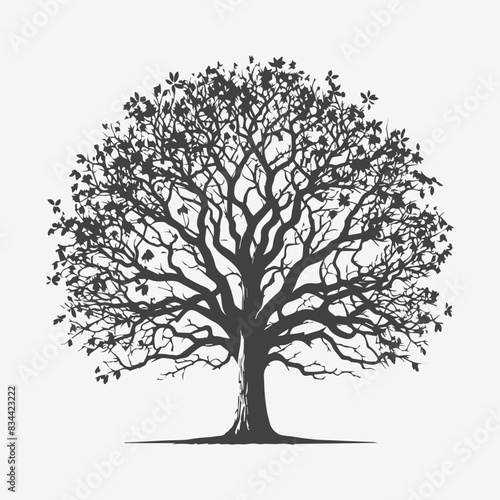Print Majestic Pecan Tree Silhouette, Nature's Timeless Shadow