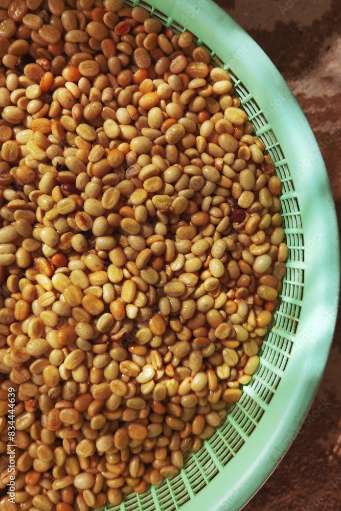 Coffee beans,In the ferment and wash method of wet processing Coffee beans,In the ferment and wash method of wet processing