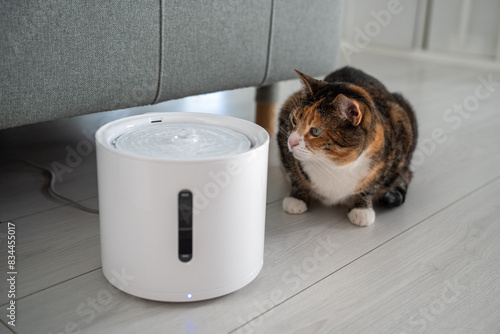 Curious cat looks at smart drinking fountain that owners bought him to prevent urinary tract disease. Modern smart drinker for pets with replaceable filter, water quantity indicator. Pet equipment