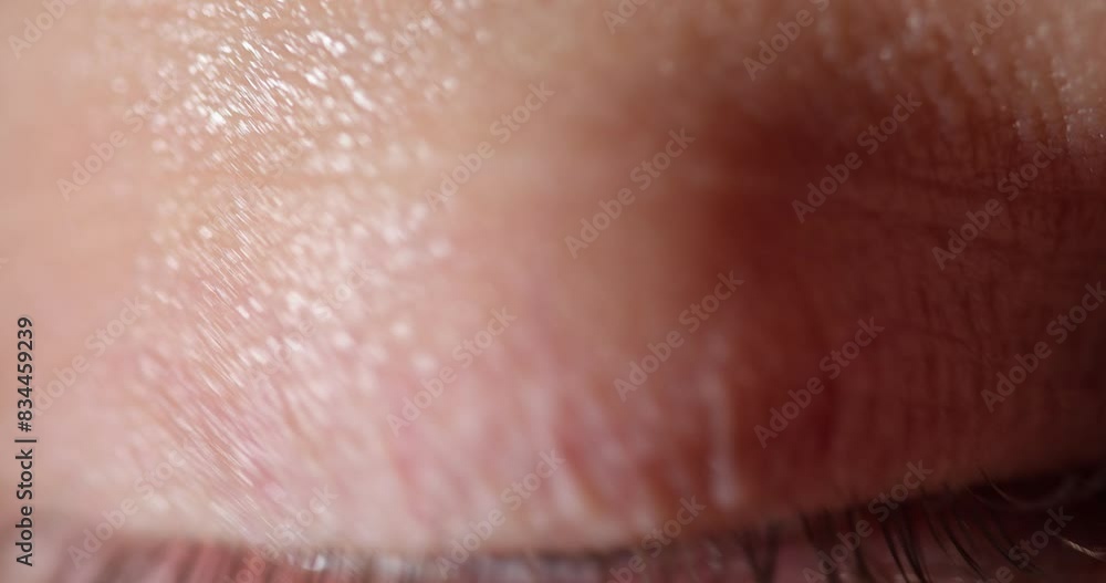 Beautiful gray-blue macro eye closeup Beautiful gray-blue macro eye closeup