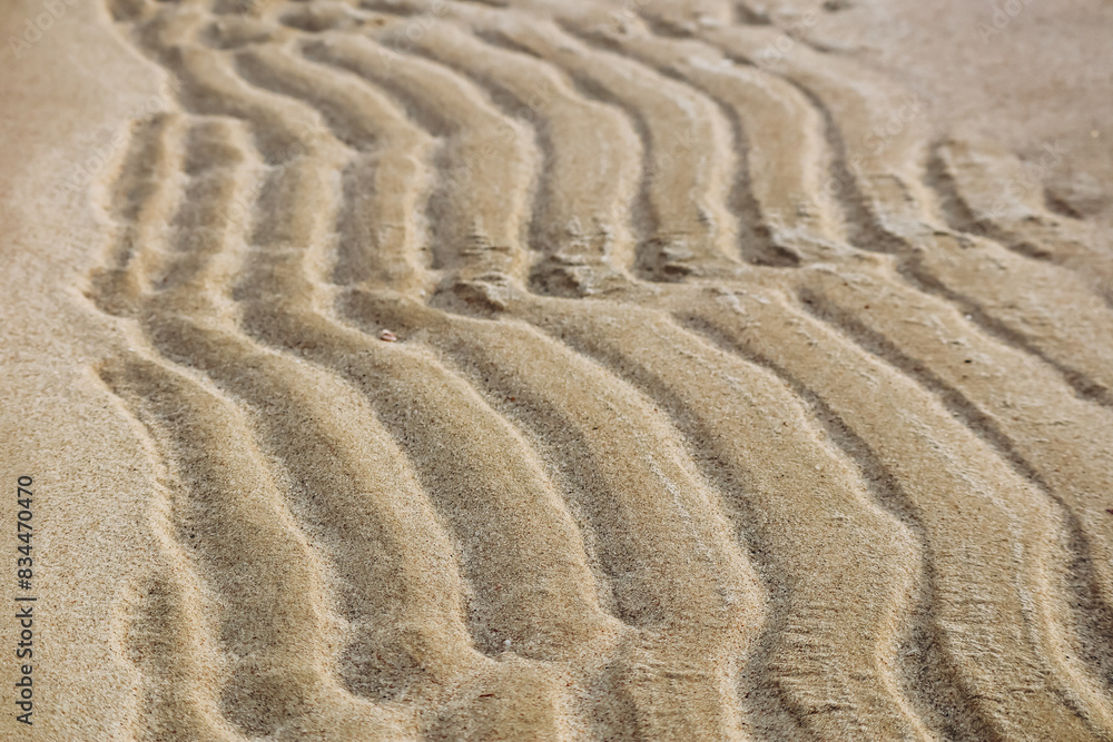 Sandy desert in Qatar, in the southern part of the country Sandy desert in Qatar, in the southern part of the country