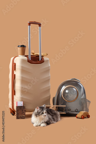 Cute cat with backpack carr...