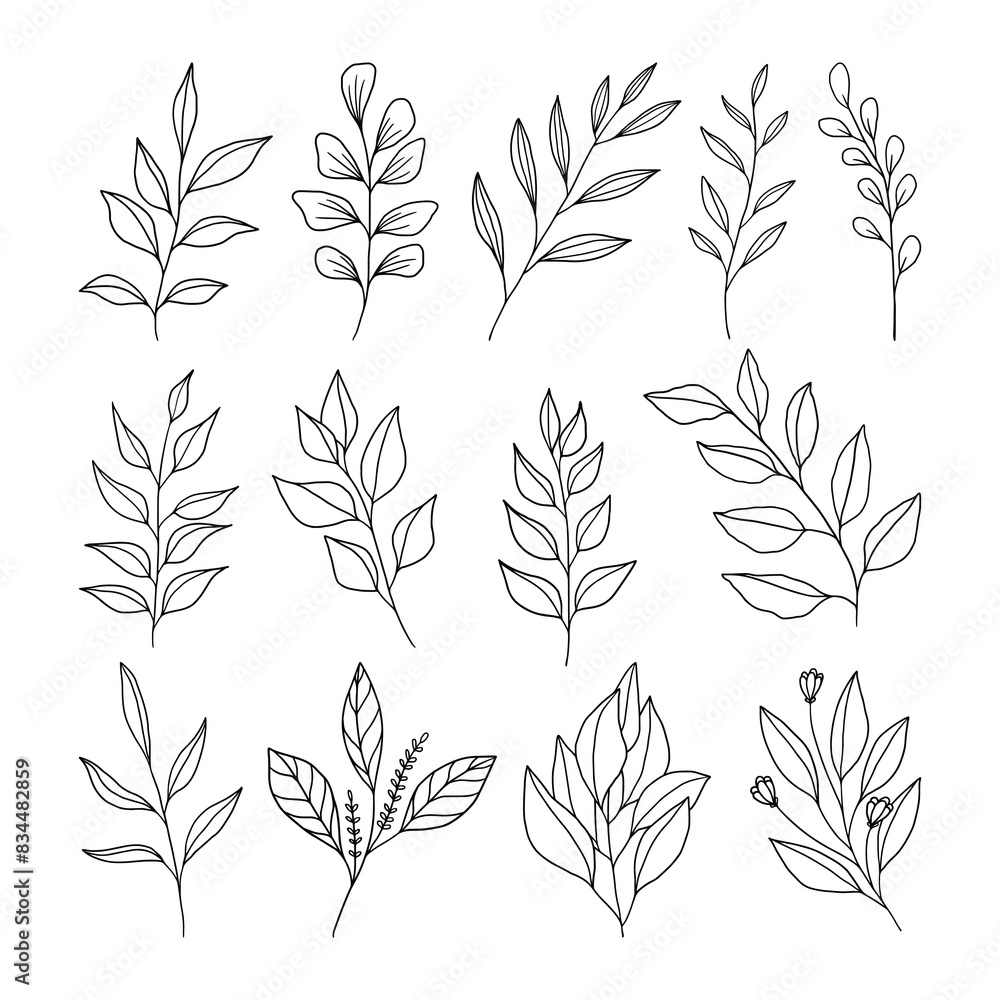 Set of leaves illustration vector Set of leaves illustration vector