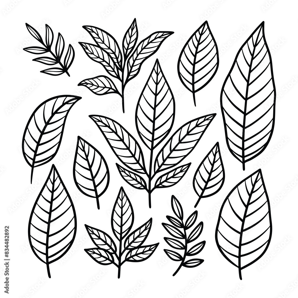 Set of leaves illustration vector Set of leaves illustration vector