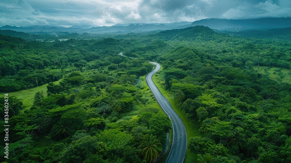 A tranquil highway meanders through a green forest. Captured in wide-angle, 70mm focus for high detail. Peaceful, vivid scene. A tranquil highway meanders through a green forest. Captured in wide-angle, 70mm focus for high detail. Peaceful, vivid scene.