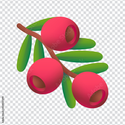 Yewberry icon vector design in eps 10