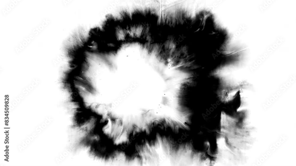 Black ink rorschach effect abstract background artistic flow splatter spots spills white paper beautiful reveal dripping streaks spread fluid ink alpha matte isolated watercolor ink drops transition Black ink rorschach effect abstract background artistic flow splatter spots spills white paper beautiful reveal dripping streaks spread fluid ink alpha matte isolated watercolor ink drops transition