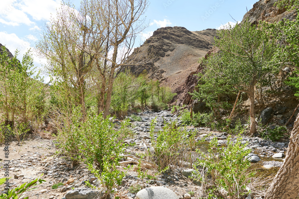A parched mountain river in a canyon. Picturesque place in the mountains, beautiful photo wallpaper.