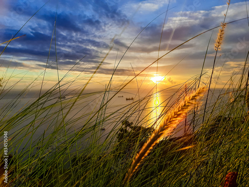 view of the sunset in the sea in the Teluk Bayur area of ​​Padang City. from the top of the hill with weeds in the foreground photo