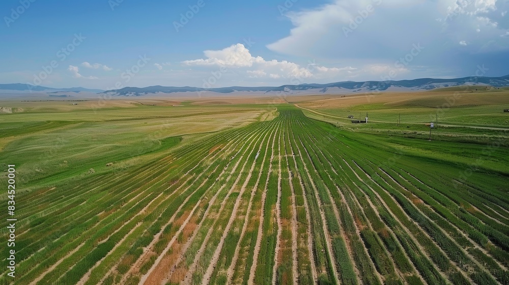 An aerial view of a large agricultural area dotted with hundreds of IoT sensors that provide a comprehensive map of the soils condition. An aerial view of a large agricultural area dotted with hundreds of IoT sensors that provide a comprehensive map of the soils condition.