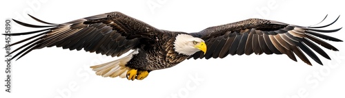 Cutout design of a bald eagle soaring through the sky,