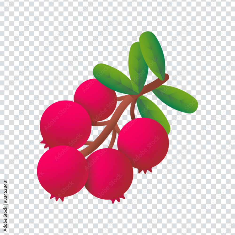 Bearberry icon vector design in eps 10 Bearberry icon vector design in eps 10