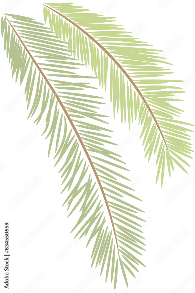 tropical date leaves tropical date leaves