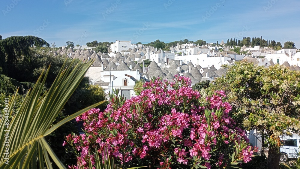 Fototapeta premium I Trulli di Alberobello Puglia Italia 