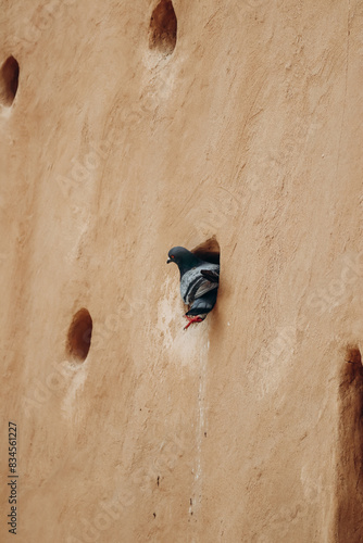 Al Zubara Fort, a historic Qatari military fortress built under the oversight of Sheikh Abdullah bin Jassim Al Thani in 1938 photo