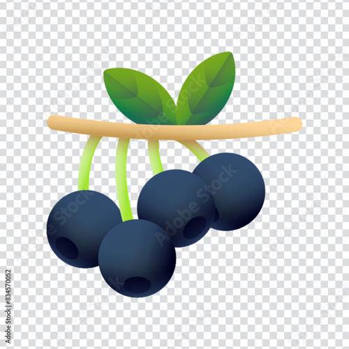 Maqui berry icon vector design in eps 10
