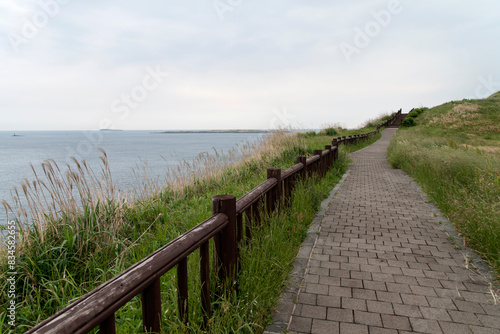 View of the walkway at the seaside on a cloudy day