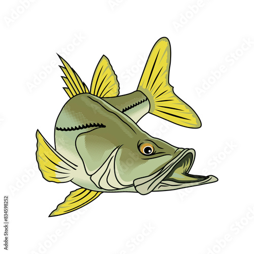 snook fishing illustration logo vector image t shirt