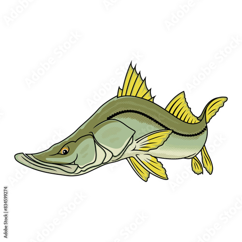 snook fishing illustration logo vector image t shirt