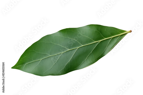 Close-up of a vibrant green leaf with detailed veins and texture, isolated on a white background.