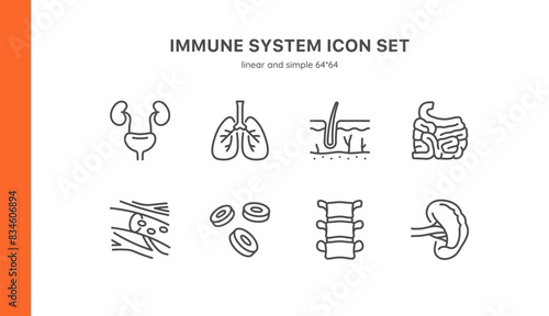 Immune System Icons Set. Illustrations of Kidneys, Lungs, Skin, Intestines, Blood Vessels, Red Blood Cells, Spine, and Spleen. Linear Vector Pack.