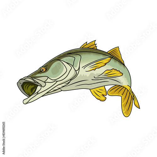 snook fishing illustration logo vector image t shirt