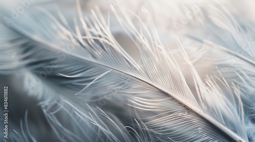 Detailed Gray and White Feather Close-up Photography