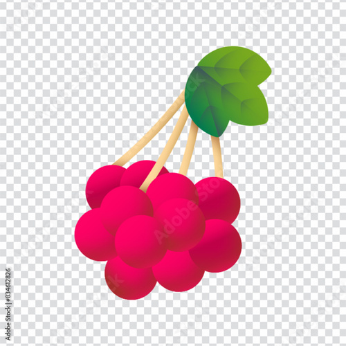 Viburnum icon vector design in eps 10