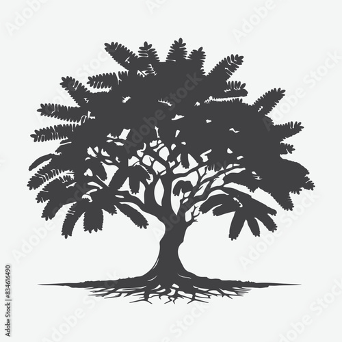 Print Enchanting Mimosa Tree Silhouette, A Perfect Blend of Elegance and Serenity