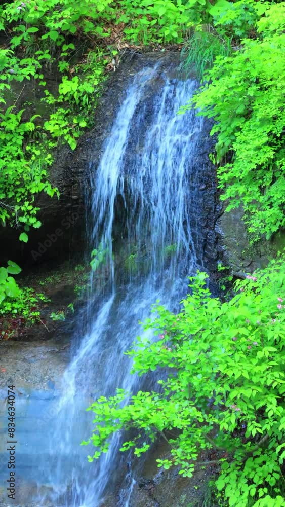 vertical video of waterfall in the forest vertical video of waterfall in the forest