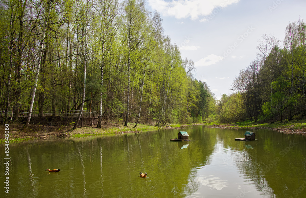 Ducks on the pond. Summer landscape. Houses on the water for birds. Ducks on the pond. Summer landscape. Houses on the water for birds.