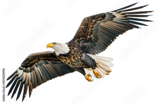 A large eagle is flying in the sky